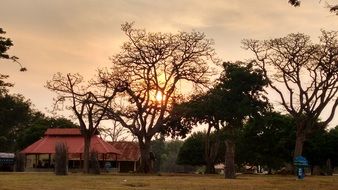 trees near the building in the reserve
