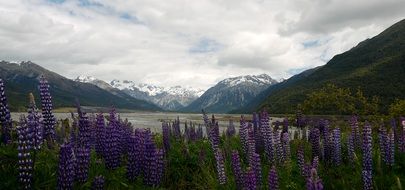 New Zealand landscapes