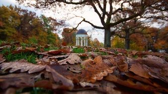 Autumn Wiesbaden romantic scene
