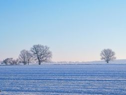 Landscape of snowy fields