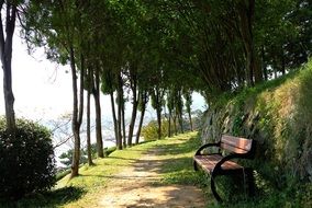 Nature Park Walk