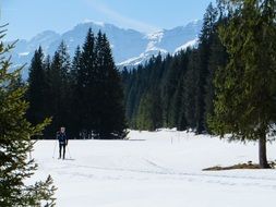 skier at Winklmoos-Alm ski resort