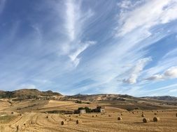 Sicily Wheat Landscape Sky