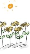 Sunflowers in field, drawing