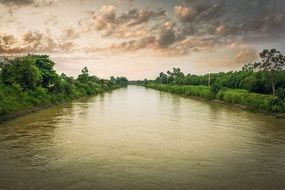 panoramic view of the river among the green shores
