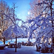 Landscape of wintry and snowy nature