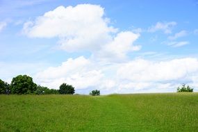 picturesque green meadow in swabian alb