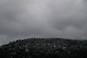 black and white landscape view