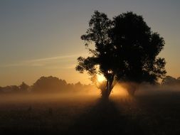 bright rays of the sun and haze on a spring field