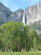 landscape of Yosemite National Park