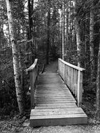 stunningly beautiful Bridge