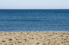 landscape of deserted beach near the sea