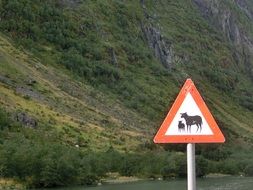 attention sheep on the road as a road sign