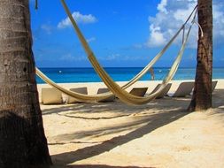 hammock on the beach