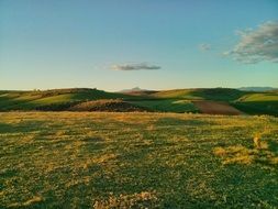 yellow-green field on a background of hills with colorful sky on horizon