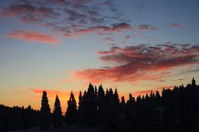 sunset over tree outlines view