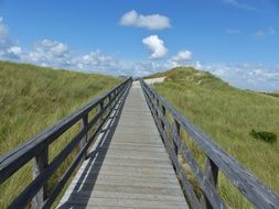 Boardwalk on a mountain meadow