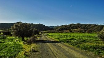 road among green fields in cyprus