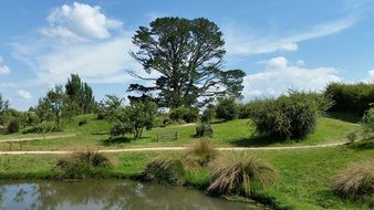 hill with green trees and bushes near the river