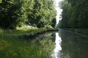 quiet stream in the picturesque nature of France