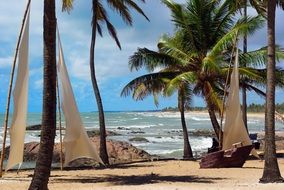 tropical beach and palm trees on the island of San Salvador