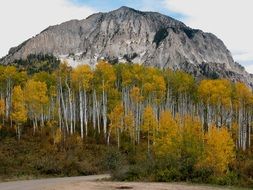Colorado Mountain autumn view