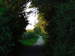 trail through the natural gate