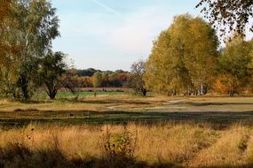 Autumn Autumn Forest Emerge