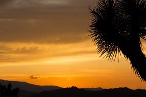 stunning Sunset Landscape