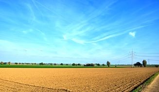 golden Agriculture Field panorama