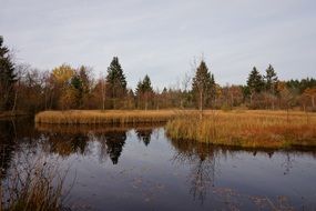 landscape of Lake Moor in Forest