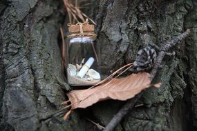 The leaves and wood