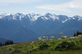 snow mountain range in North America