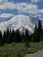 distant view of stratovolcano rainier in washington