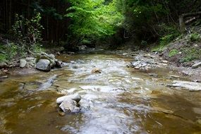 natural river in the mountains