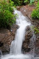 waterfall in Madeira