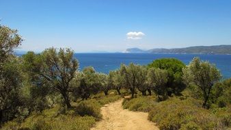 Greece Skiathos Nature Path