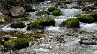 river flows in stones