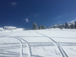 landscape of snowy mountain and ski trails at winter