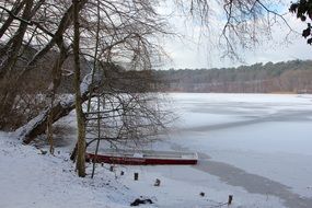 Landscape of the iced lake in a forest