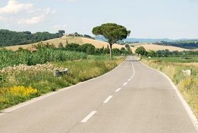 road in italy