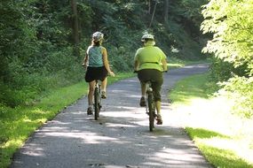 cyclists on a wide trail in a sunny park