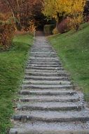 Stone stairs in the colorful forest