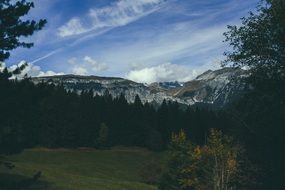 panoramic view of forest in front of mountains