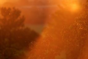 landscape of Back light in summer