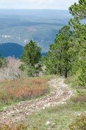 winding Mountain Trail at scenic summer landscape