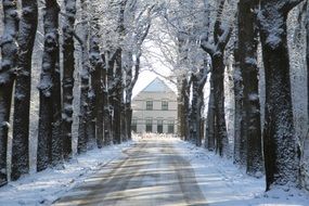 Winter Snow valley path Landscape, drenthe