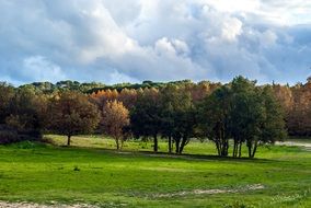 Landscape photo of the autumnal forest
