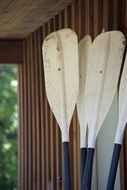 Oars Canoe