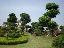 Beautiful garden in China